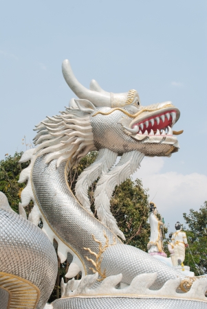 Silver colour Dragon statue の写真素材