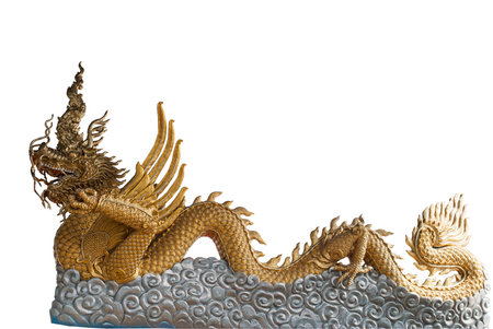 Golden Dragon statue isolated on white blackground の写真素材