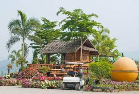 Colorful flowers and traditional guesthouses in Chiang Mai,Thilandのeditorial素材