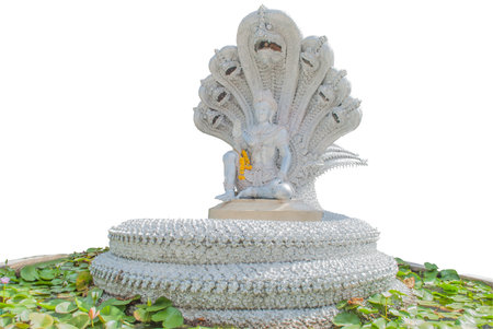 Buddhist statue with naga isolated on a white background の写真素材