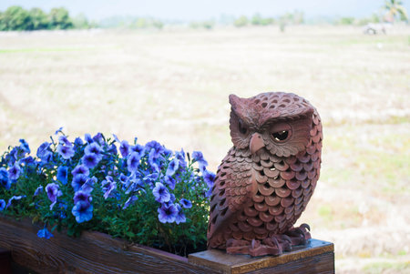 Owl made by brown clayの写真素材