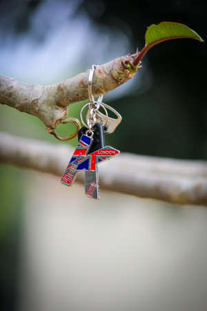 K alphabet keyring on treeの写真素材