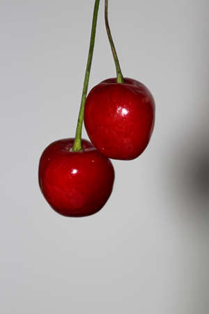 two cherries on a white backgroundの写真素材