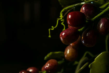 red cherries on a branchの写真素材