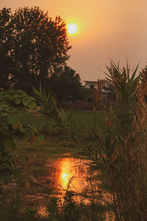 sunrise and its reflection in waterの写真素材