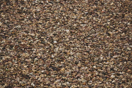 the texture of the groundの写真素材
