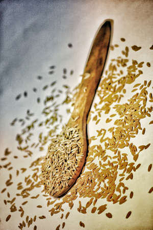 Cumin seeds in a wooden spoonの写真素材