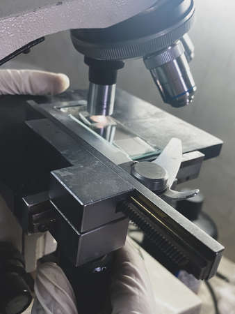 testing a sample under the microscope in a laboratoryの写真素材