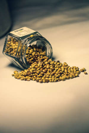 Tasty aromatic healthy Indian  Coriander seeds spice coming out of a tilted glass jarの写真素材
