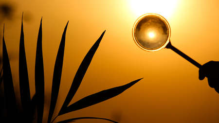 Morning sunrise view with a magnifying glass and leavesの写真素材