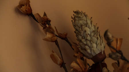 A view of autumn leaves on the groundの写真素材