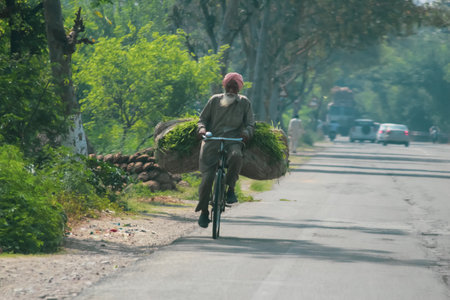 a person riding a bike with paddy at its backの写真素材