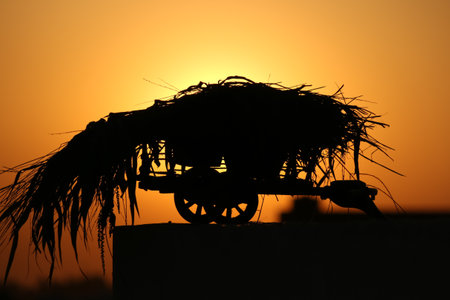 silhouette of a bullock cart in the sunsetの写真素材