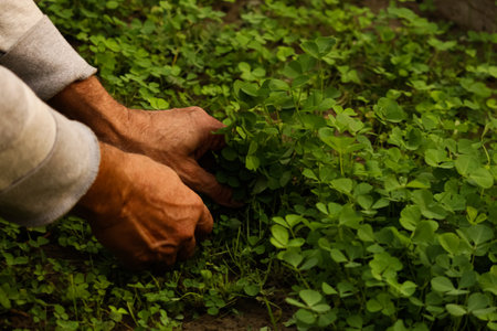 person planting tree in gardenの写真素材