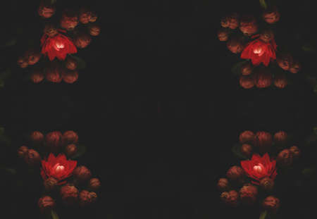 red floral background with flowers on the cornerの写真素材