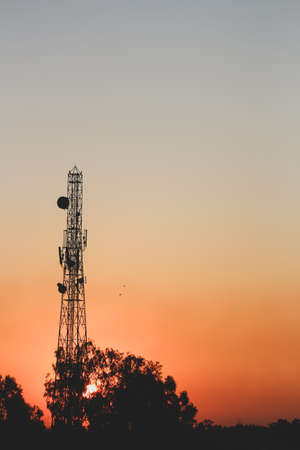 Morning scene of sun rising behind the trees and communication towerの写真素材