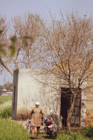 A farmer working in the agriculture fieldsのeditorial素材