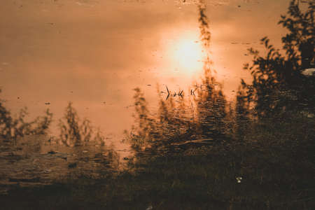 A landscape view of the reflection of sunrise over the treesの写真素材