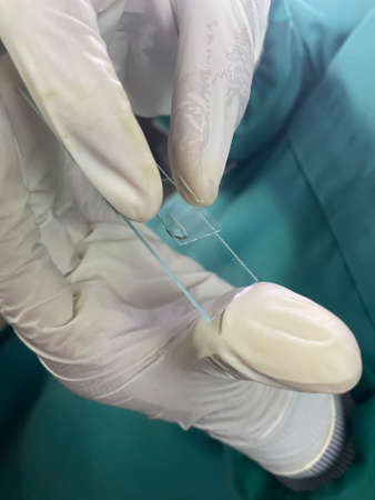 hand in glove in the laboratory analyzing the samplesの写真素材