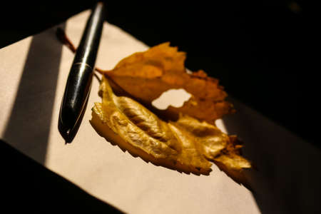 Closeup of pen dry yellow leaf on the tableの写真素材