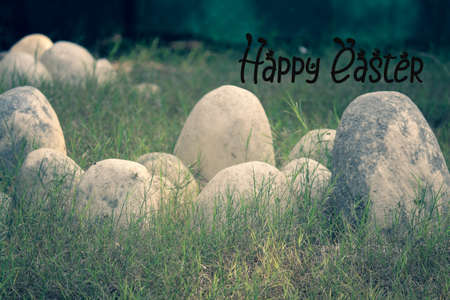 happy easter with white eggs on the green grassの写真素材