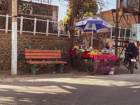 Hoshiarpur Punjab India 12 10 2020: A street vendor selling fruit chat in his cart on road side hardworkingのeditorial素材