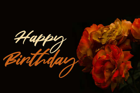 Happy birthday wishes with red rose on black backgroundの写真素材
