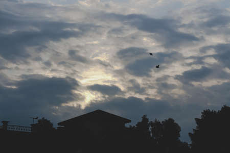Landscape cloudscape view of a hut house between trees birds flying vacation modeの写真素材