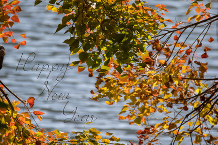 Happy new year with natural autumn leaves in the water backgroundの写真素材