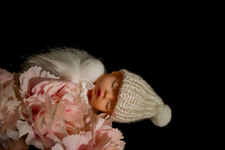 An angel sleeping beauty on pink flower with black backgroundの写真素材