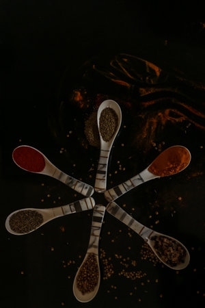 Spoon of Indian spices Turmeric haldi lal mirch red chilli salt namak coariander dhaniya powder garam masala with black backgroundの写真素材