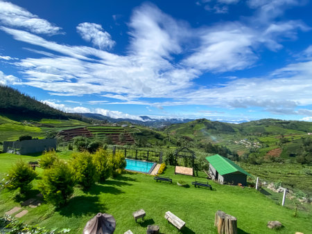 Landscape scenery view of tea plantation in the morning with cloudy sky valleyの写真素材