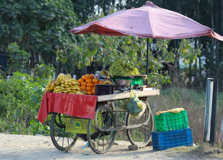 A fruit cart on the roadside in the city. Fresh seasonal fruits. street vendor hard workの写真素材