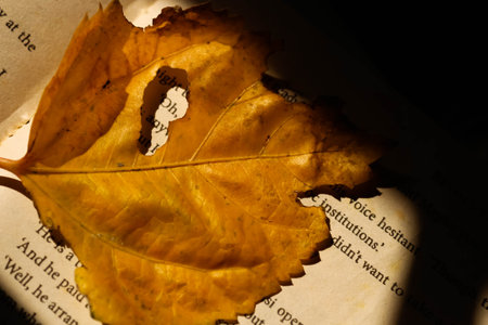 Autumn leaf on the background of an old book. Autumn concept. With "Oh" word highlighted.の写真素材