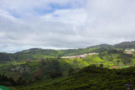 Misty Landscape of tea plantation at Nilgiris western ghats with cloudy sky at Ooty, Tamil Naidu, Indiaの写真素材