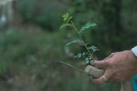 Person Planting a tree in the garden. Gardening concept. Selective focus. Happy Environment Day.の写真素材