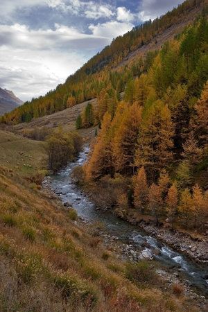 
Precipitant  Mountain river among autumn hills

