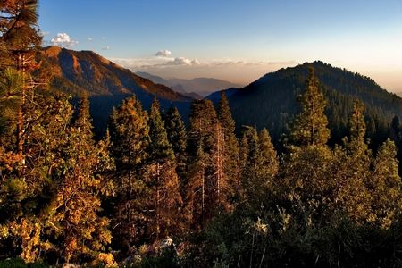 
Mountainside and giant trees lit by the sun 
の写真素材