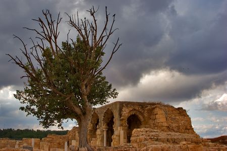  Well kept rests antique basils nearby Ashkelon in Israelの写真素材