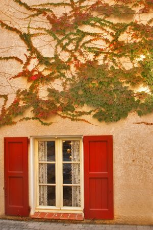  A window with red jalousie and branches of an ivy on a wall of the house in settlement Verdonの写真素材