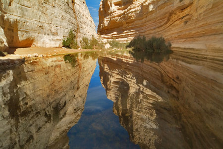 Picturesque canyon Ein-Avdat in desert Negev in Israelの写真素材