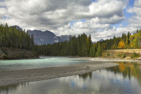  The autumn shallow river in mountain reserve の写真素材