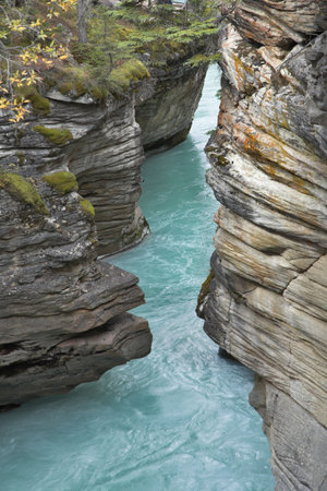 Falls "Athabasca" in a deep canyon in the north of Canadaの写真素材