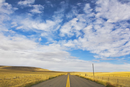 The American prairie in  September. A yellow grass and the American roadの写真素材