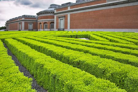 Espalier from bushes before museum  Prado in Madridの写真素材