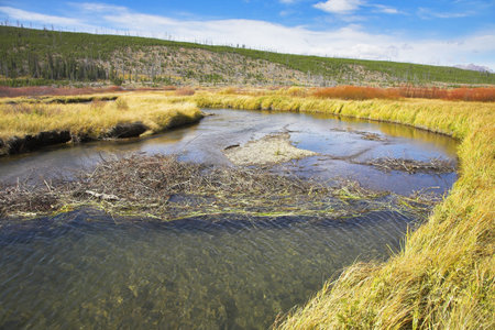 Twisting small stream on flat marshy plainの写真素材 [40003418887]｜毎月1点無料 ...