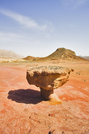 Huge rock from red sandstone in the form "mushroom" in the heated desertの写真素材