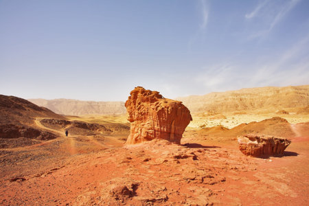 The lonely tourist in red desert near to huge "mushroom" from sandstone の写真素材
