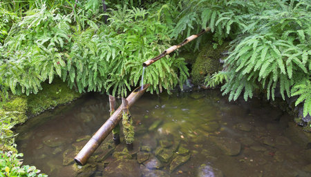 A small stream and a falls in Japanese to a garden in the big parkの写真素材