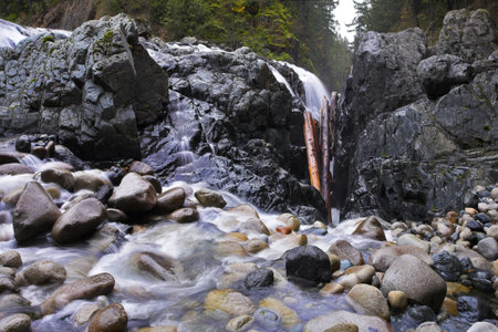 Cascade picturesque falls on island Vancouver - Englishman River Falls